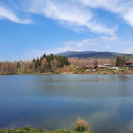Fewo Bayerischer Wald Im Lamer Winkel Arrach Eksteriør billede