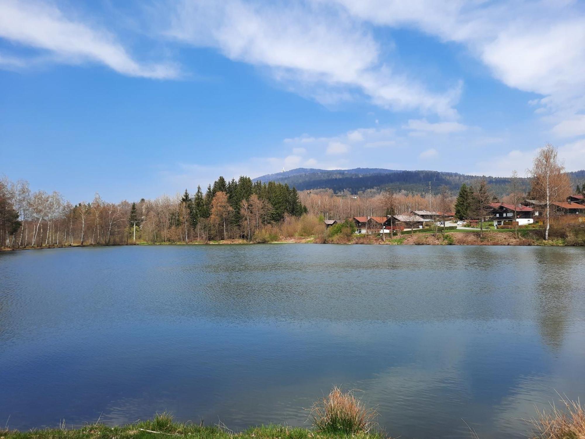 Fewo Bayerischer Wald Im Lamer Winkel Arrach Eksteriør billede